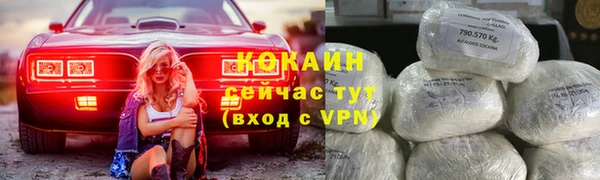 метадон Алексин