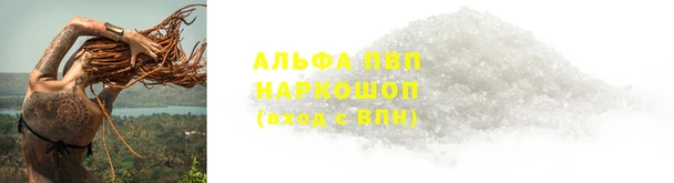 apvp Алзамай
