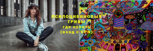 метадон Алексин