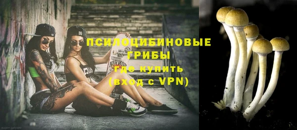 apvp Алзамай