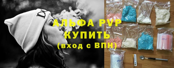 apvp Алзамай