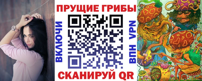 дарк нет телеграм Зуевка Галлюциногенные грибы мухоморы OMG как зайти